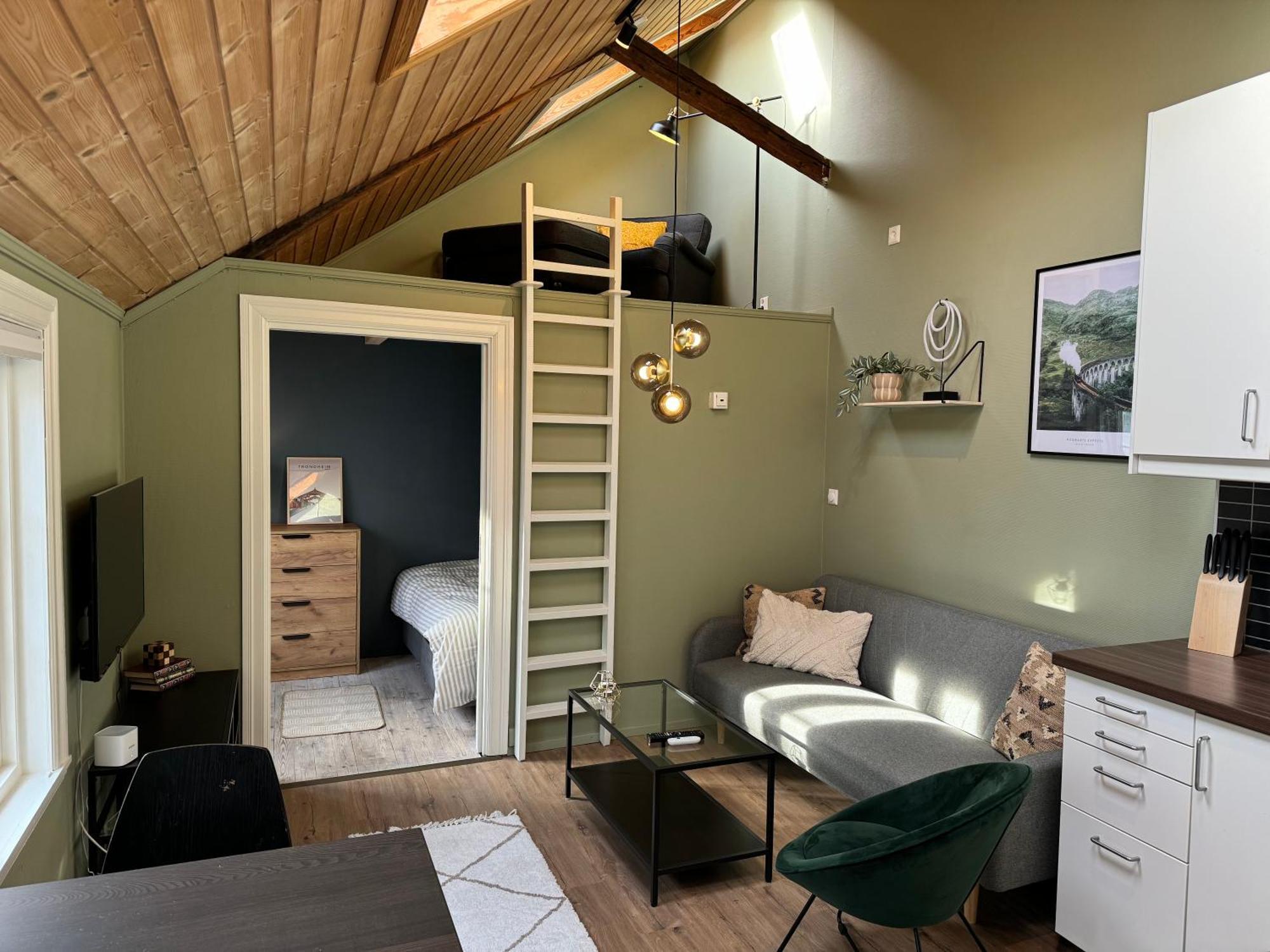 Cozy Backyard Apartment 特隆赫姆 外观 照片