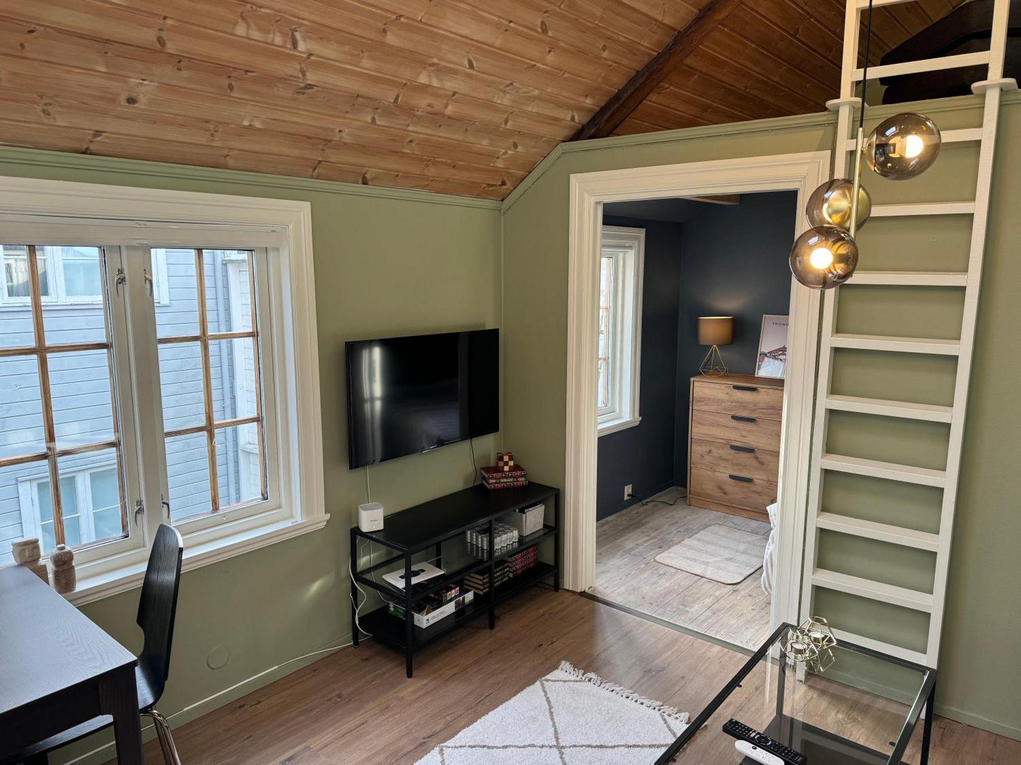 Cozy Backyard Apartment 特隆赫姆 外观 照片