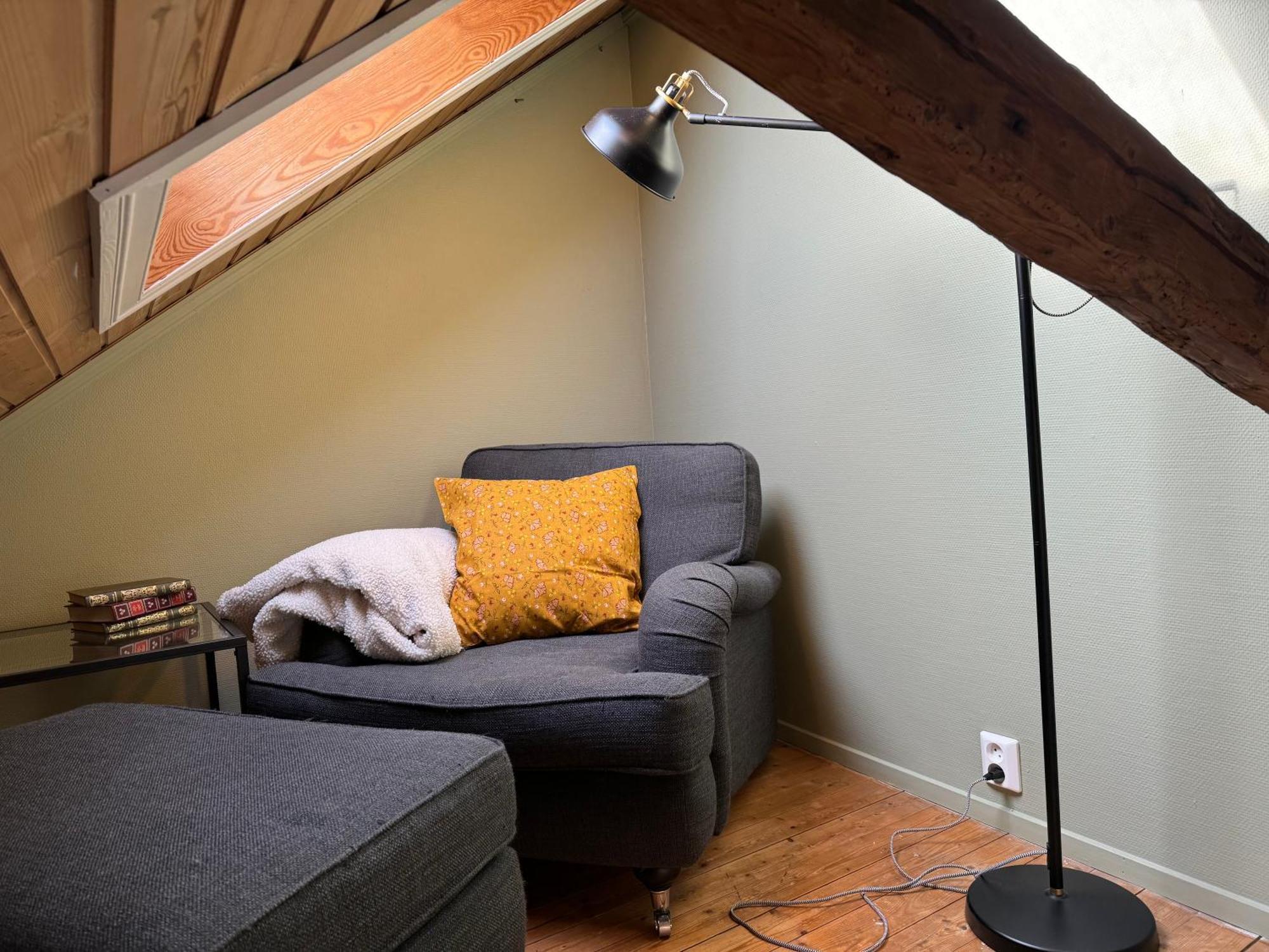 Cozy Backyard Apartment 特隆赫姆 外观 照片
